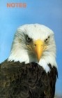 Image for Note Book Bald Eagle
