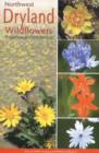 Image for Dryland wildflowers
