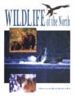 Image for Wildlife of the North
