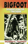 Image for Bigfoot Encounters in New York &amp; New england