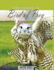Image for Understanding the Bird of Prey
