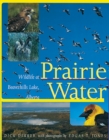 Image for Prairie Water : Wildlife at Beaverhills Lake, Alberta
