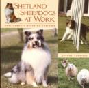 Image for Shetland Sheepdogs at Work: Achievements, Breeding, Training