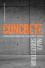 Image for Concrete: From Ancient Origins to a Problematic Future