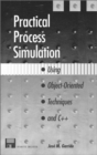 Image for Practical process simulation using object orientated techniques and C++