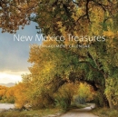 Image for New Mexico Treasures