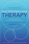 Image for The Practice of Electroconvulsive Therapy : Recommendations for Treatment, Training, and Privileging (A Task Force Report of the American Psychiatric Association)