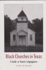 Image for Black Churches in Texas
