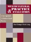 Image for Multicultural Practice and Evaluation
