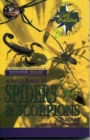 Image for A Field Guide to Spiders and Scorpions of Texas