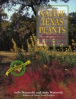 Image for Native Texas Plants
