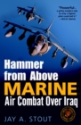 Image for Hammer from Above