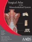 Image for Surgical Atlas of the Musculoskeletal System