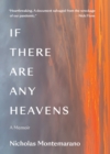 Image for If There Are Any Heavens: A Memoir