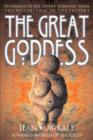Image for The Great Goddess : Reverence of the Divine Feminine from the Paleolithic to the Present