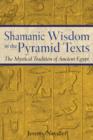Image for Shamanic Wisdom in the Pyramid Texts