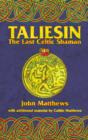 Image for Taliesin : The Last Celtic Shaman