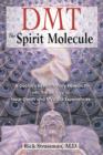 Image for Dmt : the Spririt Molecule : A Doctors Revolutionary Research into the Biology of out-of-Body Near-Death and Mystical Experiences