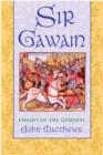 Image for Sir Gawain : Knight of the Goddess