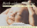 Image for Birth without Violence