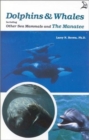 Image for Dolphins &amp; Whales