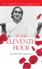 Image for At the eleventh hour: the biography of Swami Rama