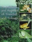 Image for Amphibians and Reptiles of Trinidad and Tobago