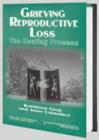 Image for Grieving reproductive loss  : the healing process