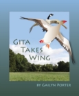 Image for Gita Takes Wing