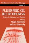 Image for Pulsed-field Gel Electrophoresis