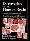 Image for Discoveries in the human brain  : neuroscience prehistory, brain structure, and function
