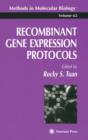 Image for Recombinant Gene Expression Protocols