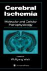 Image for Pathopysiology of cerebral ischemia
