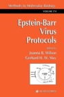 Image for Epstein-Barr Virus Protocols