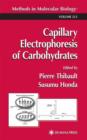Image for Capillary Electrophoresis of Carbohydrates