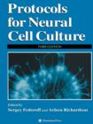 Image for Protocols for neural cell culture