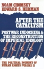Image for After the Cataclysm : Postwar Indo-China