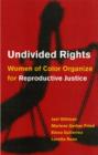 Image for Undivided rights  : women of color organizing for reproductive freedom