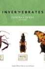 Image for Invertebrates of Central Texas Wetlands