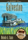 Image for Journey to Galveston : Mr Barrington&#39;s Mysterious Trunk