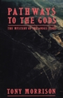 Image for Pathways To The Gods : The Mystery of the Andes Lines