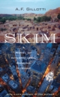 Image for Skim : A Novel of International Banking Intrigue