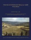 Image for The Excavations of &#39;Iraq al-Amir : Volume II