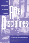 Image for After the Disciplines : The Emergence of Cultural Studies