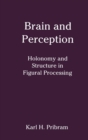 Image for Brain and Perception