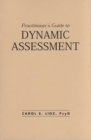 Image for Practitioner&#39;s Guide to Dynamic Assessment