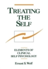 Image for Treating the Self : Elements of Clinical Self Psychology