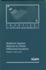Image for Multilevel Adaptive Methods for Partial Differential Equations