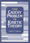 Image for The Cauchy Problem in Kinetic Theory