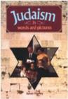 Image for Judaism in Words and Pictures